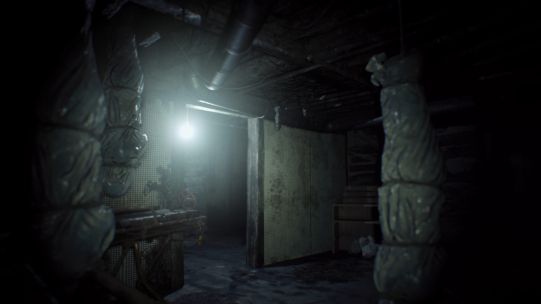 Resident Evil 7 biohazard - Imagen 18